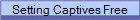 Setting Captives Free